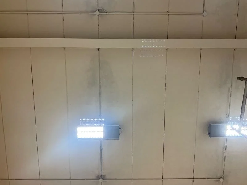 RAAC scanning in Datchet, Berkshire, by Structured Carbon